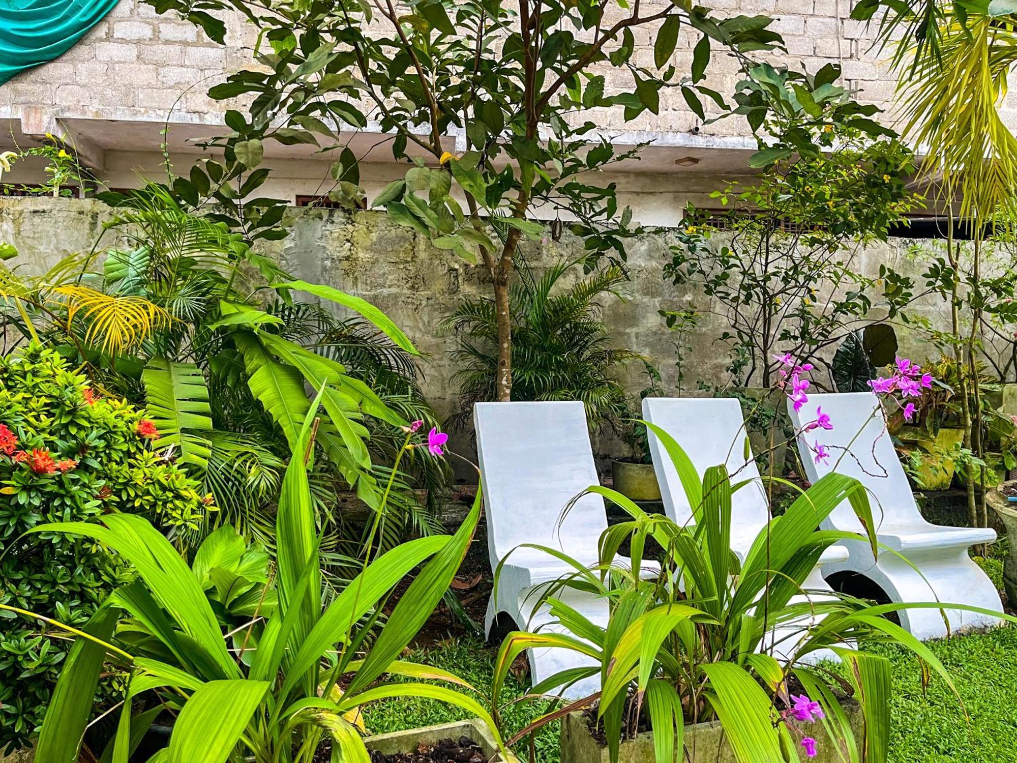 Galle Camellia Kültér fotó