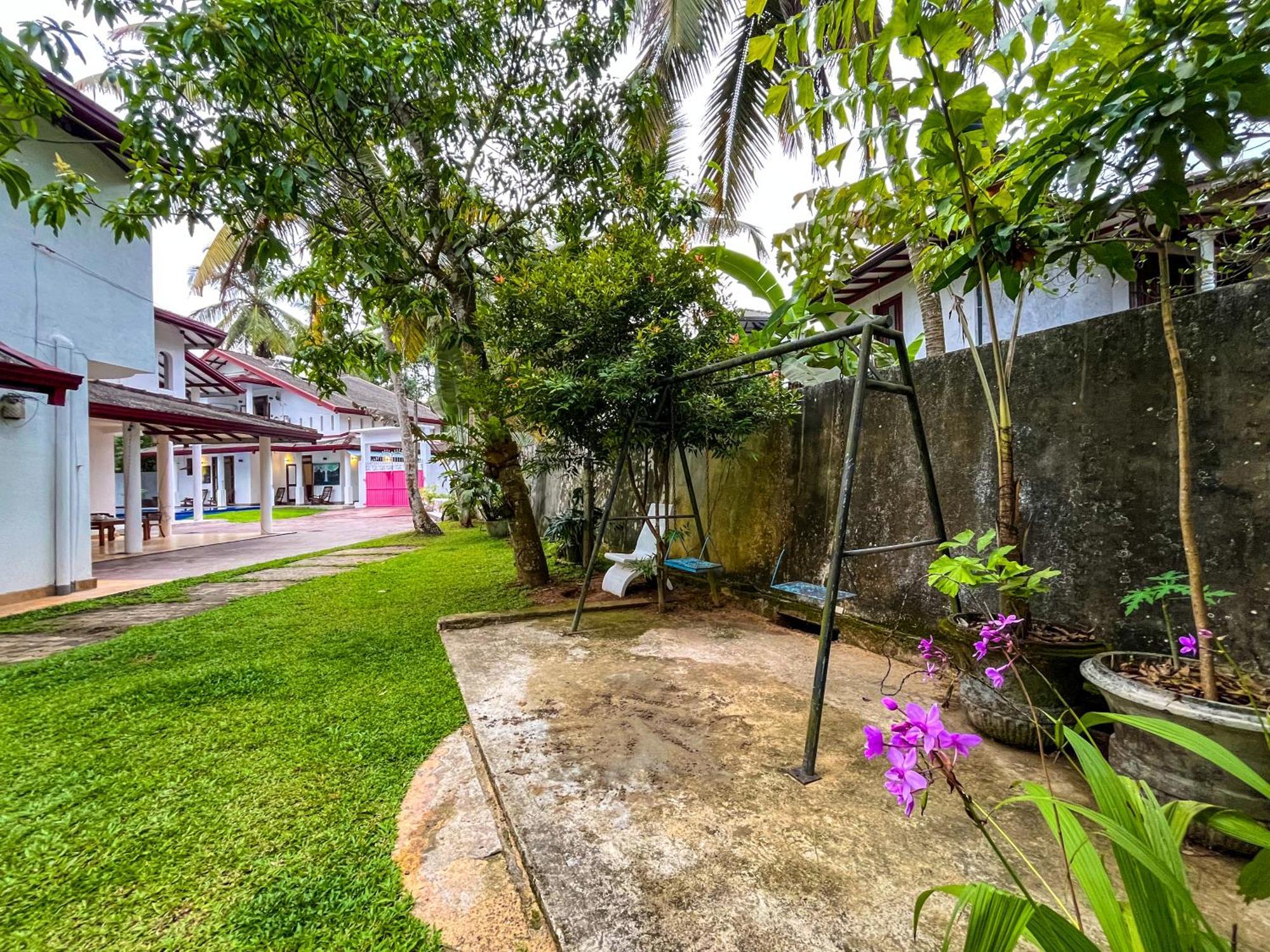 Galle Camellia Kültér fotó